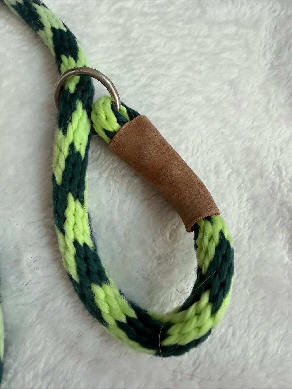 Mendota Pet 6 Ft Rope Slip Lead Dog Leash Neon and Dark Green